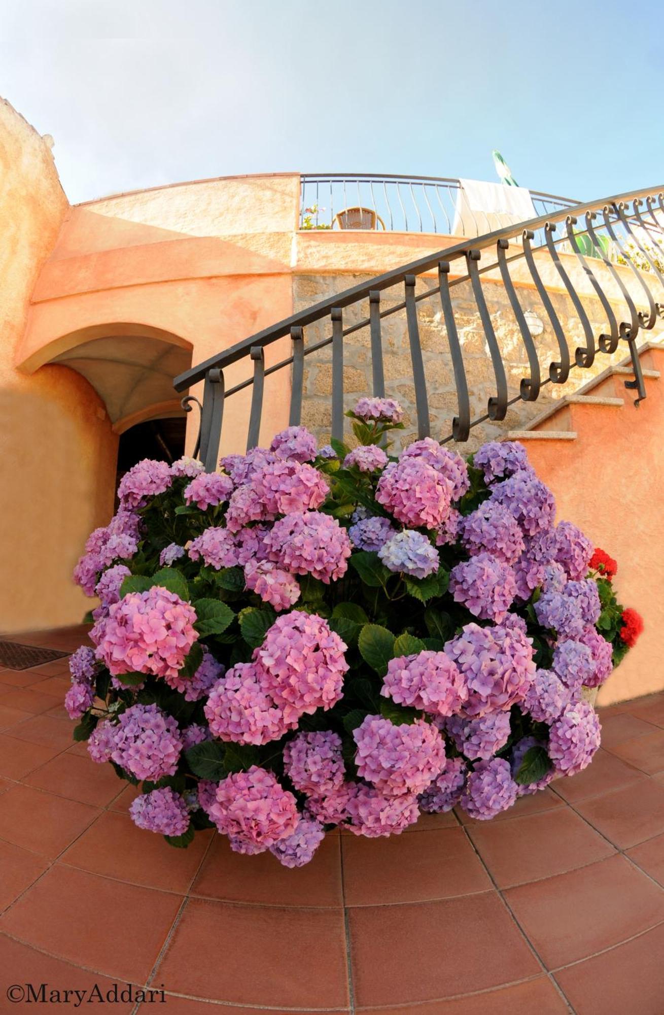 Hotel Gemella Baja Sardinia